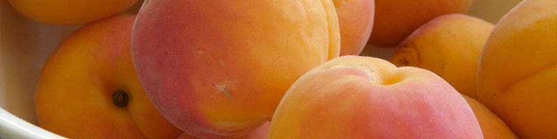 abricot-fruit-ete-sport